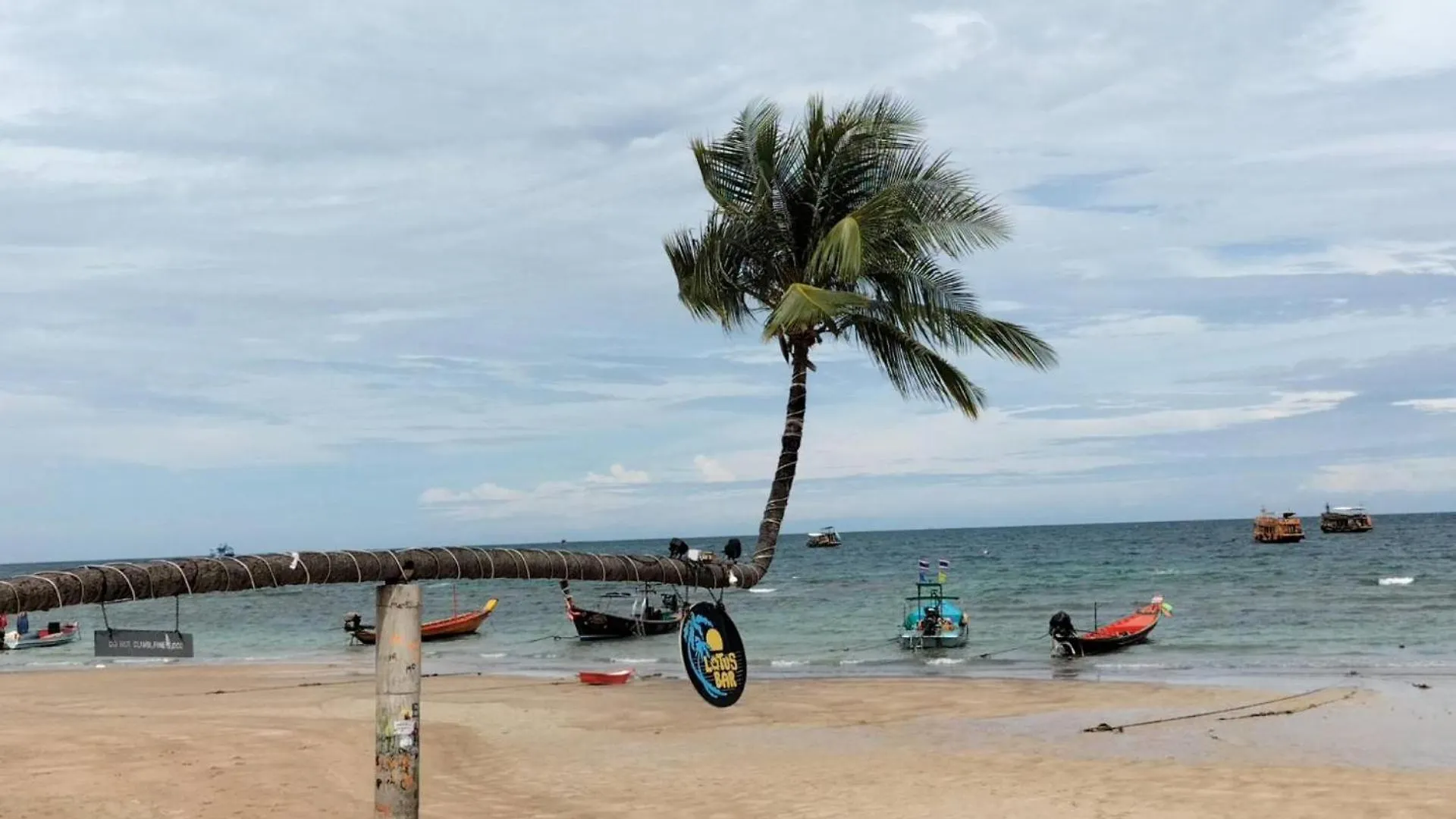 Lotus Hostel Beach Ko Tao